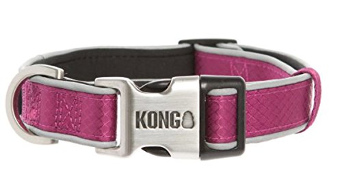 kong dog collar large