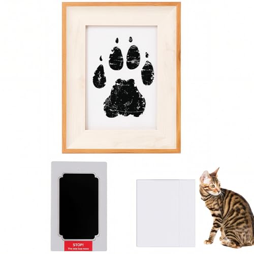 Lifetips gCK[ Toyger ybgp  X^v Lbg ^  ``X^v `쐬Lbg LO  Ȃ `    ` ^ ȒP S y Ճpbh IWi vg ] AO