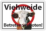Hochwertiger UV-Digitaldruck! Keine Folie / Keine Folienablöseerscheinungen