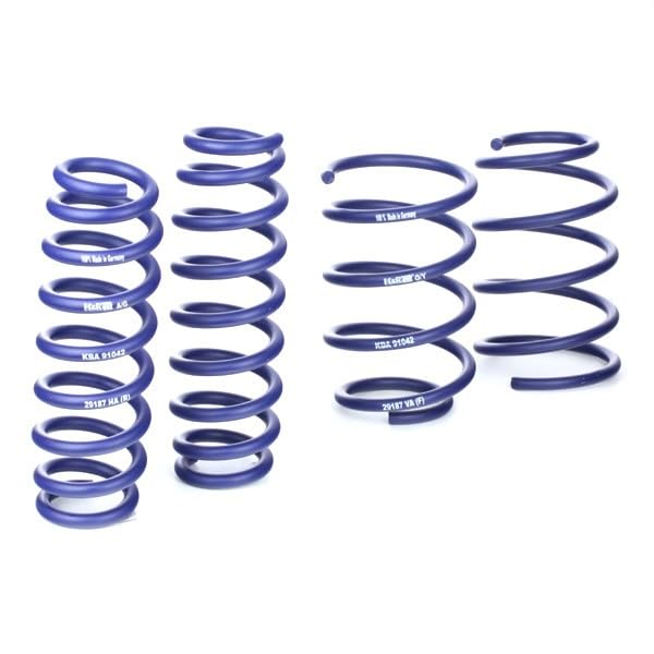 Amazon.com: H&R 29187-1 Lowering Springs Kit (50/25mm