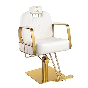 LUXMARS Barber Chair Salon Chair Hydraulic Styling Chair All Purpose Beauty Spa Salon Equipment, Max Load Weight 440 Lbs White