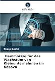 Hemmnisse für das Wachstum von Kleinunternehmen im Kosovo: DE
