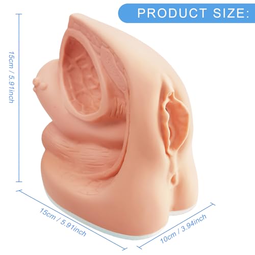 Image of Female Catheterization Model Internal and External Genital Anatomy Model for Clinical Teaching and Medical Education Training Practice, 1 Piece
