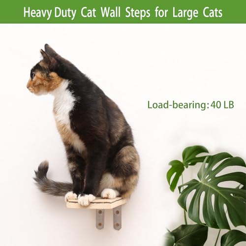 Pacote com 3 prateleiras de parede grandes para gatos, degraus de parede para gatos, prateleiras par