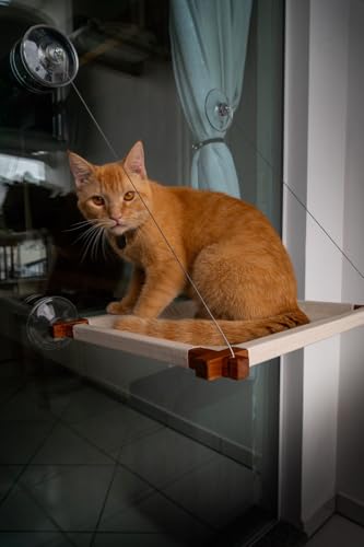 Cama Suspensa Para Gatos Janela Sacada Vidro Ventosa Segura Querido Pet