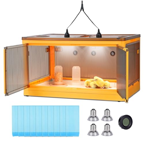Chicken Brooder Box Starter Kit for 30 Chicks