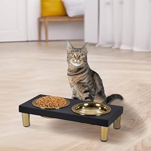 Pure Souls Cleo Pet Feeder, Natural Mango Wood Feeders Stand, Elevated Cat Bowls 750 ml, Food Water Diner, Durable Double Bowl Feeding Stands for Cats – Small (33 x 15 x 7 cm)