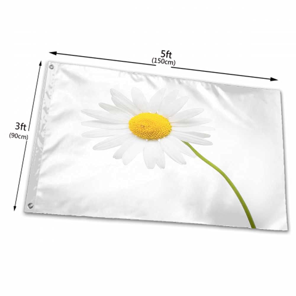 ShineSnow Gartenflagge – Frühlingsdesign, Doppelseitig, Wetterfest, 30,5 X 45,7 Cm