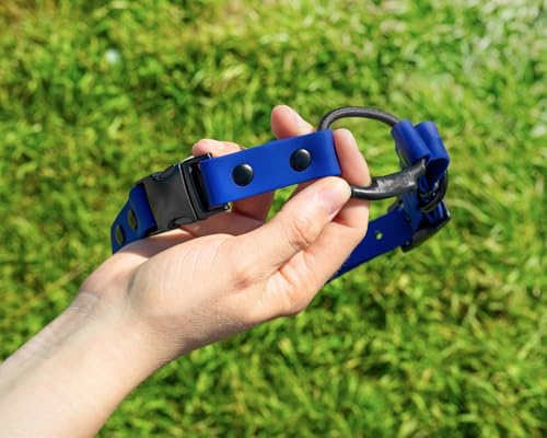 Image of 3 /4 inch e-Collar Bungee Collar Strap, Waterproof (Light Blue 3 /4 inch)
