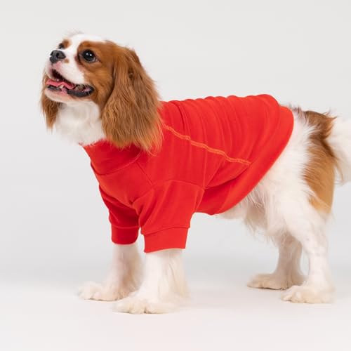 Image of Fitwarm 3 Pack Classic Fleece Dog Sweater, Winter Clothes for Small Dogs Boy Girl, Turtleneck Dog Sweatshirt, Pet Apparel, Orange Red, Royal Blue, Neon Yellow, XS