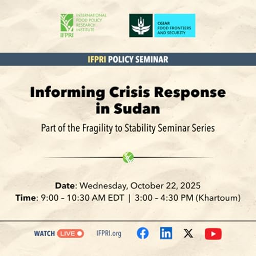 『Informing Crisis Response in Sudan』のカバーアート