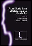 From Basic Pain Mechanisms to Headache (Frontiers in Headache Research Series (14))