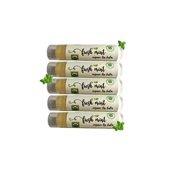 Organic Skin Care Kits - Lip Balm USDA Organic Certified, Nontoxic Chapstick and Paraben-free Skin Perfection