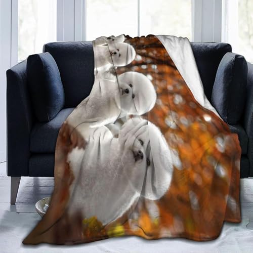 rVEt[[  Aj y  uPbg tl 􂦂 ÓdCh~ g _炩 Ȃ߂炩ȔG lGKp 1OJ244