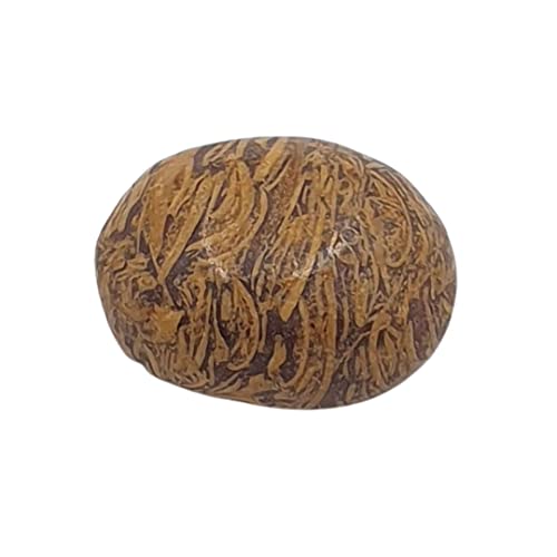 Ch 8.00Jbg }w } IWiXg[ | VRWXp[ WFXg[ | Sang E Maryam Stone | -B0C61T5PLB