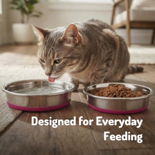 Image of Pet Empire Stainless Steel Cat Silicone Base Bowl for Cats & Puppies | Bowl for Water and Food (200 ML)