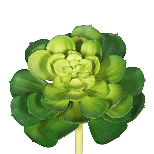 Vickerman 5" Artificial Green Plastic Cactus Plant - 6 per Pack - Unique Succulent Decoration - Maintenance Free - Faux Succulent - Realistic and Modern