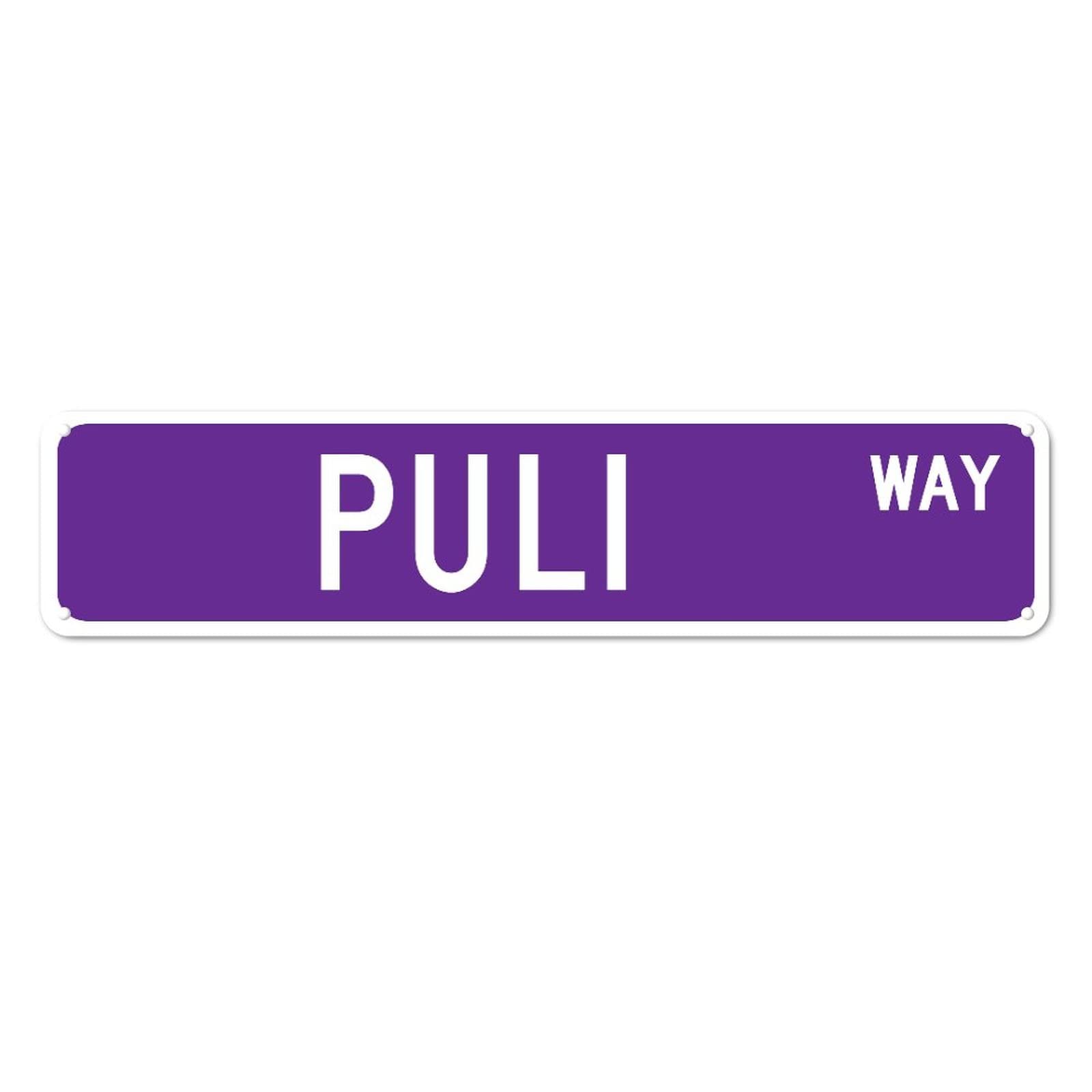 Puli WAY Retro Tin Signs Aluminum Metal Sign Art Plaque for Home Kitchen Garden Wall Non-Fade Funny Decor 4x16 Inch