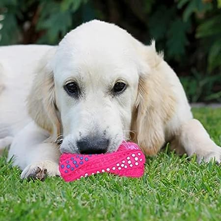 KYNA Non Toxic Dog Face Bite Pattern Pet Toy with Whistle Rubber Teething Toys for Puppy and Dogs Random Colours Pack of 1 (B0BZVTPZY2) Amazon Price History, Amazon Price Tracker
