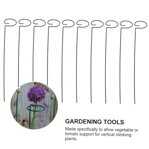 FUTUREORYY 10Ax? ϐėp\ ANC~Opx |c[ ؂g}g͔̐|