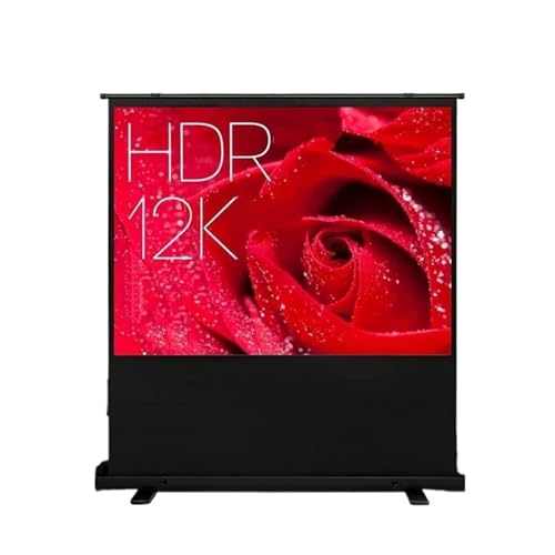 Pantalla portátil manual para proyector 60 pulgadas