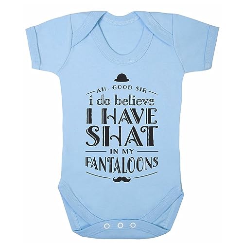 ART HUSTLE Ah Good Sir I Do Believe I Have Shat in My Pantal