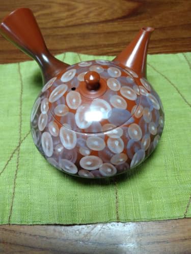 �튊�Ă̋}�{�k��