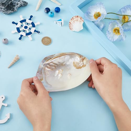 SUPERFINDINGS Natural Shell Jewelry Dish Tray Seashell Ring Holder 14.2x10.8cm/5.6x4.3inch Decorative Trinket Dish Stand for Earring Necklace Organizer Holder - Cosy Home Interiors SUPERFINDINGS Natural Shell Jewelry Dish Tray Seashell Ring Holder 14.2x10.8cm/5.6x4.3inch Decorative Trinket Dish Stand for Earring Necklace Organizer Holder - Image 3