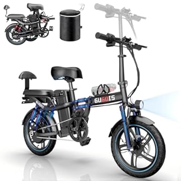 electric bike with pet carrier