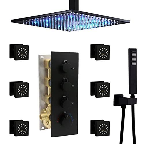 The Best Full Body Shower System 2023 Find the perfect fit for you.