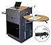 Vizion Media Center Stationary Lectern Finish: Oak