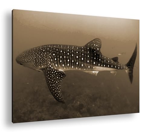 Requin baleine dans un large océan deyoli décoration murale sépia cadre bois 90x60