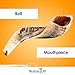 HalleluYAH Authentic Ram Shofar 12