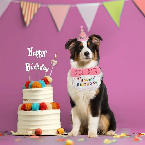 Set cumpleaños perro: Gorro y babero talla grande rosa miniatura 6