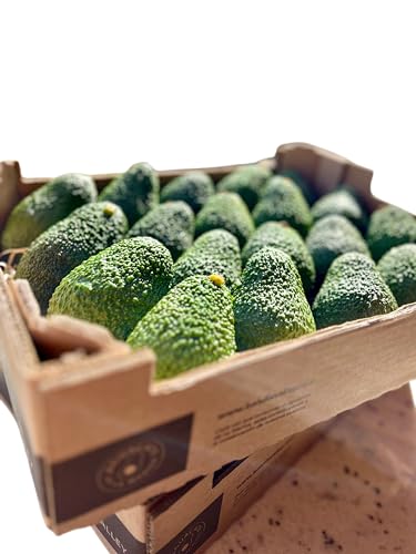 Aguacates Frescos - Caja de Aguacates 4kg - Origen Nacional - Producción ecológica - Directo de Nuestra Huerta a tu Plato
