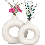 White Ceramic Vase for Modern Home Decor, Hollow Round Matte Pampas Flower Vases, Minimalist Circle
