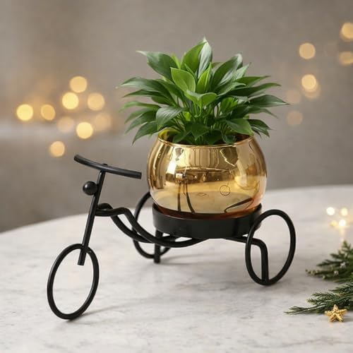 Image of CentraLit Decorative Metal Tricycle Planter for Home Decor | Handcrafted Indoor Plant Pot with Amber Glass Bowl | Premium Tabletop Planter for Living Room, Office, Balcony & Gifting