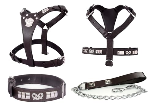 Staffordshire Bull Terrier - Pettorina per cani in pelle con borchie cromate, set da 3 pezzi, marrone