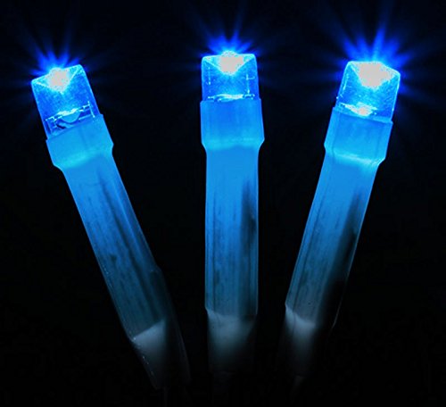 Pisca pisca De Natal 100 LEDs Luz Azul 8 Funções Natalino 9 Metros