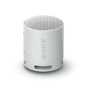 Sony SRS-XB100 – Enceinte sans Fil Bluetooth, Portable, légère, compacte, Durable, IP67, étanche à l’eau et à la poussière, Batterie 16H, dragonne Polyvalente, appels Mains Libres, Gris Perle