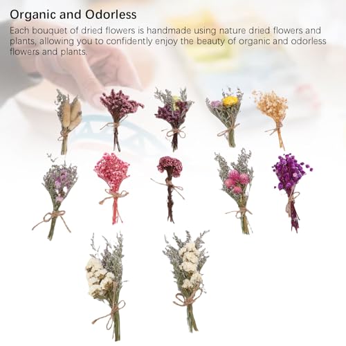 Set de 12 ramos de flores secas decorativas hechas a mano miniatura 2