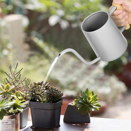 Image of Watering Can Indoor Plants, 35 oz /1000 ml Metal Stainless Steel Watering Can Pot with Long Spout for Indoor House Plants Bonsai Outdoor Garden Flower Decorative (Gray)
