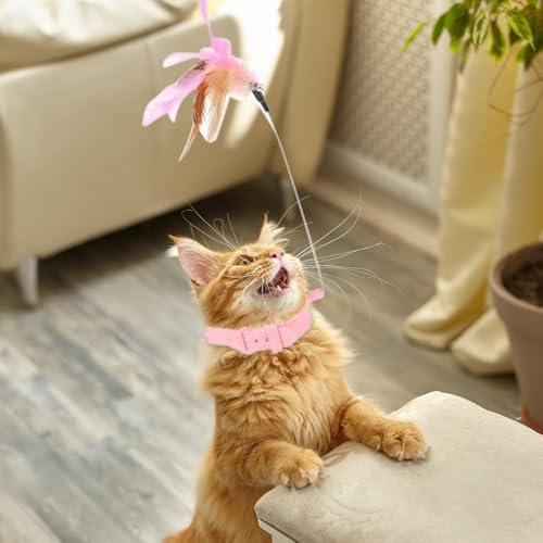 Image of Qpets Cat Toys, Cat Feather Collar with Teasing Toy, Adjustable Cat Collar Stylish Design Cat Interactive Toys, Elastic Toys for Kittens Funny Cat Playing Toys for Indoor (1Pcs, 20-32CM)
