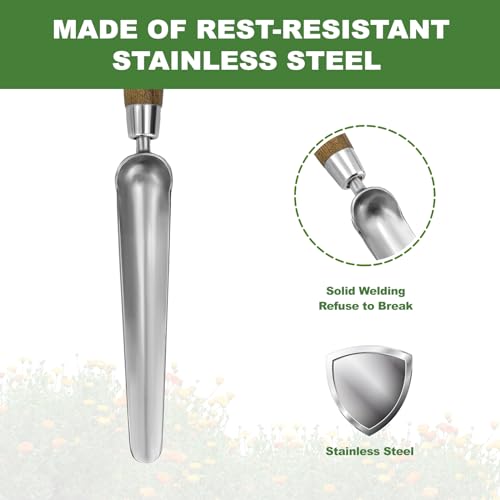 Haliaeetus Seeding Widger, Stainless Steel Garden Planting Trowel for Repotting, Long and Narrow Widger for Weeding from Tight Areas, Hand Transplanter with Wood Handle for Planting, Weeding, Digging - Thumbnail 6