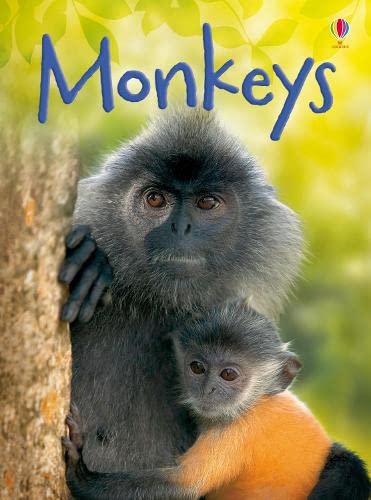 monkeys