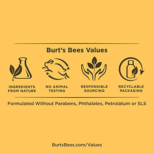 Burt's Bees Classics Gift Set, 6 Products in Giftable Tin – Cuticle Cream, Hand Salve, Lip Balm, Res-Q Ointment, Hand Repair Cream and Foot Cream