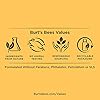 Burts-Bees-BB-Cream-with-SPF-15-Light-Medium-17-Oz-Package-May-Vary Burt's Bees BB Cream With SPF 15, Broad-Spectrum Sunscreen Tinted Lotion for All Skin Types, 98.9 Percent Natural Origin Skin Care, Light to Medium, 1.7 oz. Tube