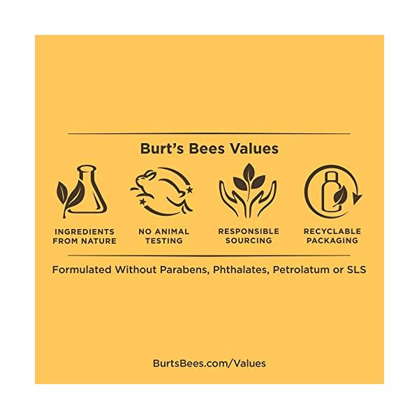 Burts-Bees-BB-Cream-with-SPF-15-Light-Medium-17-Oz-Package-May-Vary Burt's Bees BB Cream With SPF 15, Broad-Spectrum Sunscreen Tinted Lotion for All Skin Types, 98.9 Percent Natural Origin Skin Care, Light to Medium, 1.7 oz. Tube