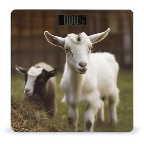 Báscula de baño digital VstaDank con vidrio templado miniatura 1