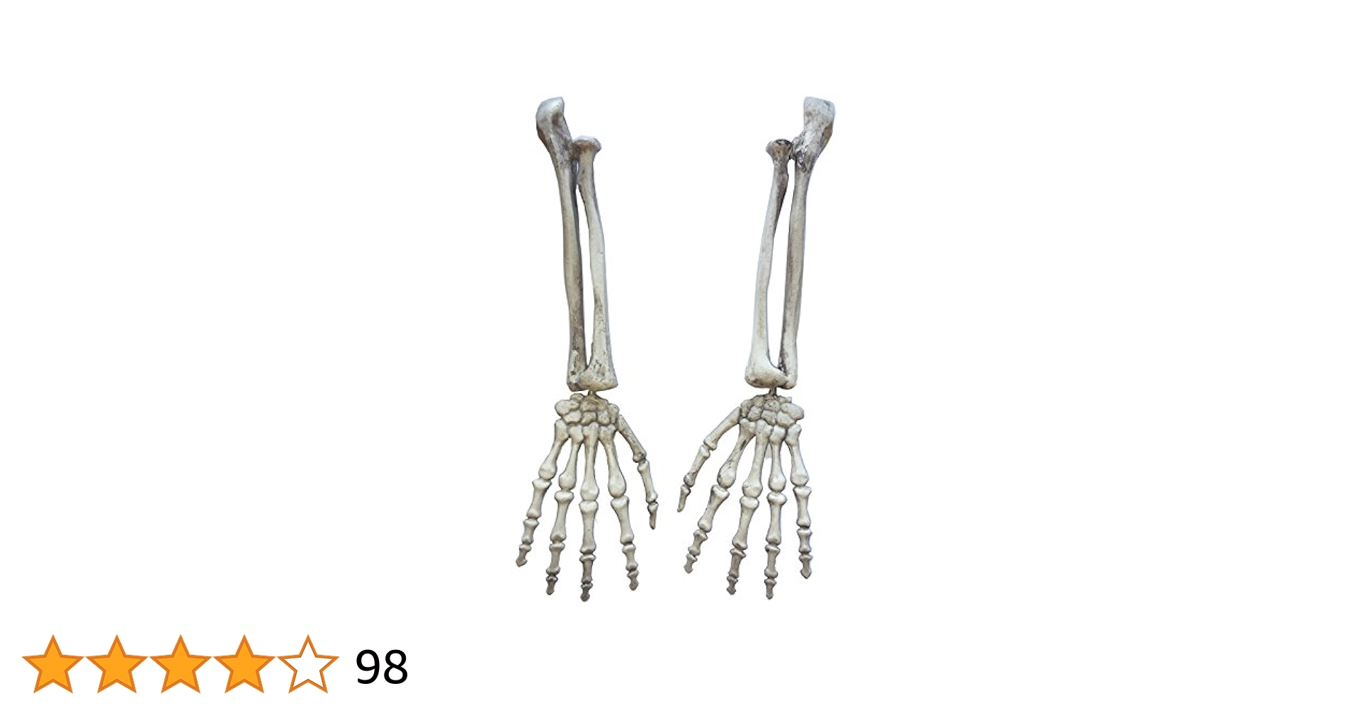 SKELETON ARM スケルトンアーム 海外玩具 Amazon.com: Skeletons And More SM370D Skeleton Arms, Left